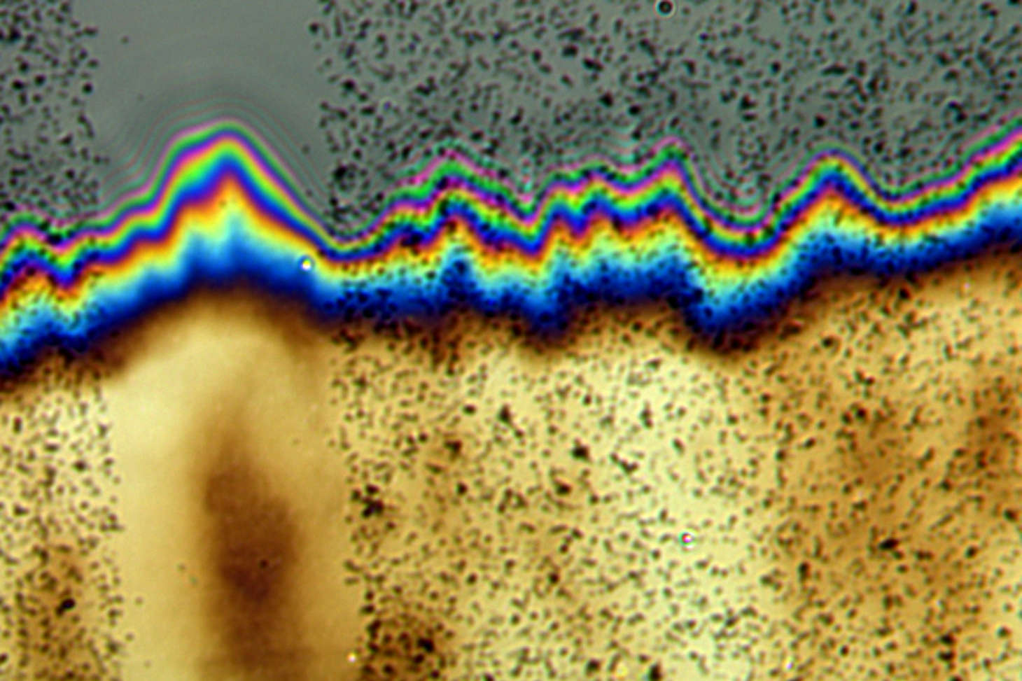 image en RICM d'un subtrat de PDMS