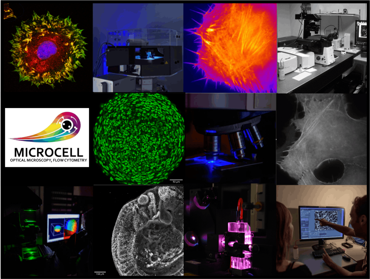 Mosaic-Microcell