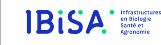 IBiSA